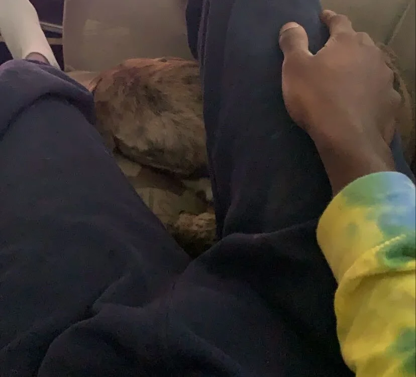 Chat +18 off-line de FutureFriction7