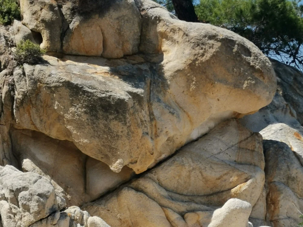 kleinerfreund1977n Offline XXX chat