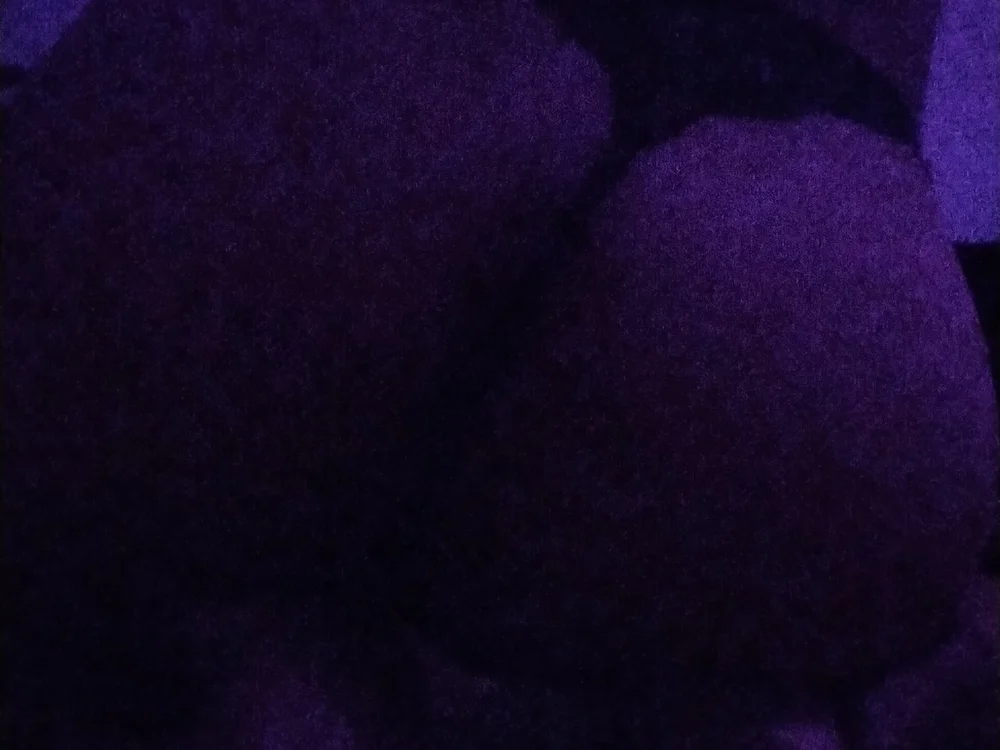 soloviva69n Offline XXX chat