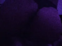 soloviva69