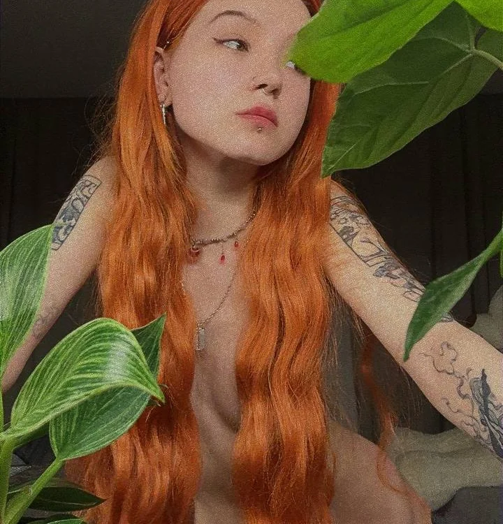 Stray-kitten3 offline XXX-chat