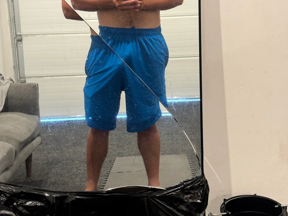 DLPigstud