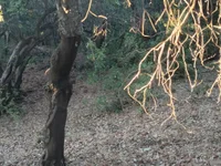 Zepe_12's webcam live show