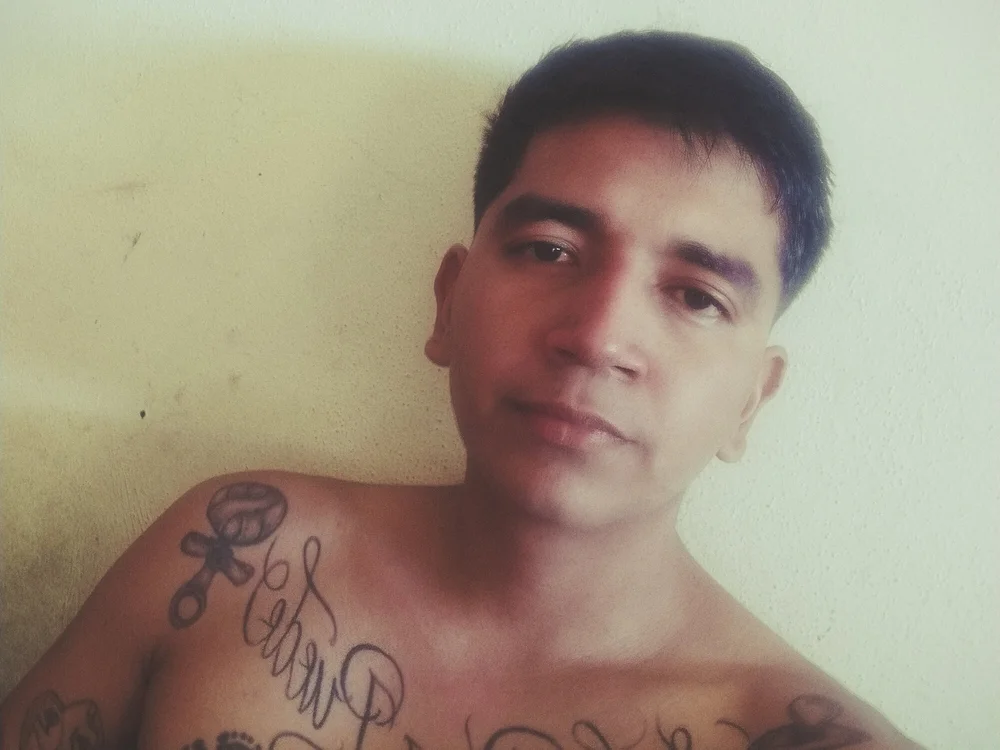 follapijas offline chatrum