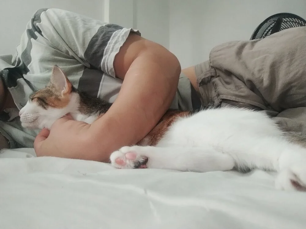 NiceBabyBoy: συνομιλία ΧΧΧ εκτός σύνδεσης