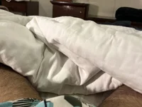 Модель your-hugehard-ashi