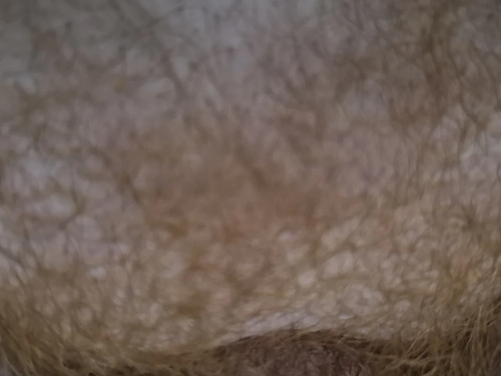 smallgingergaydick offline XXX-chatje