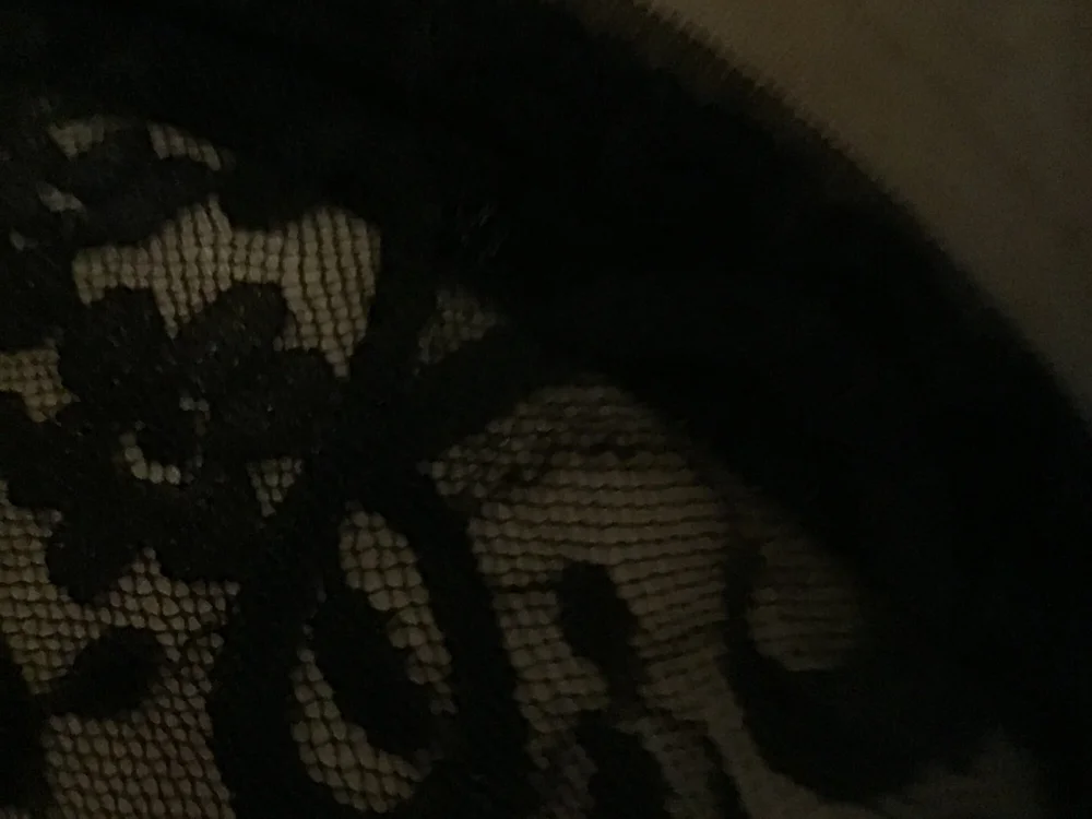 Passionate-Pixie offline chatrum
