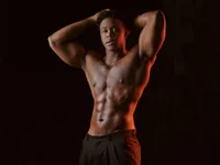 Модель AdonisKnight