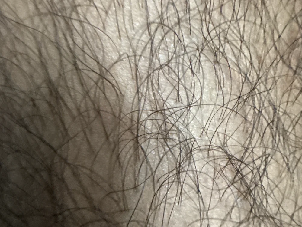 gearswitch46 離線 XXX 聊天