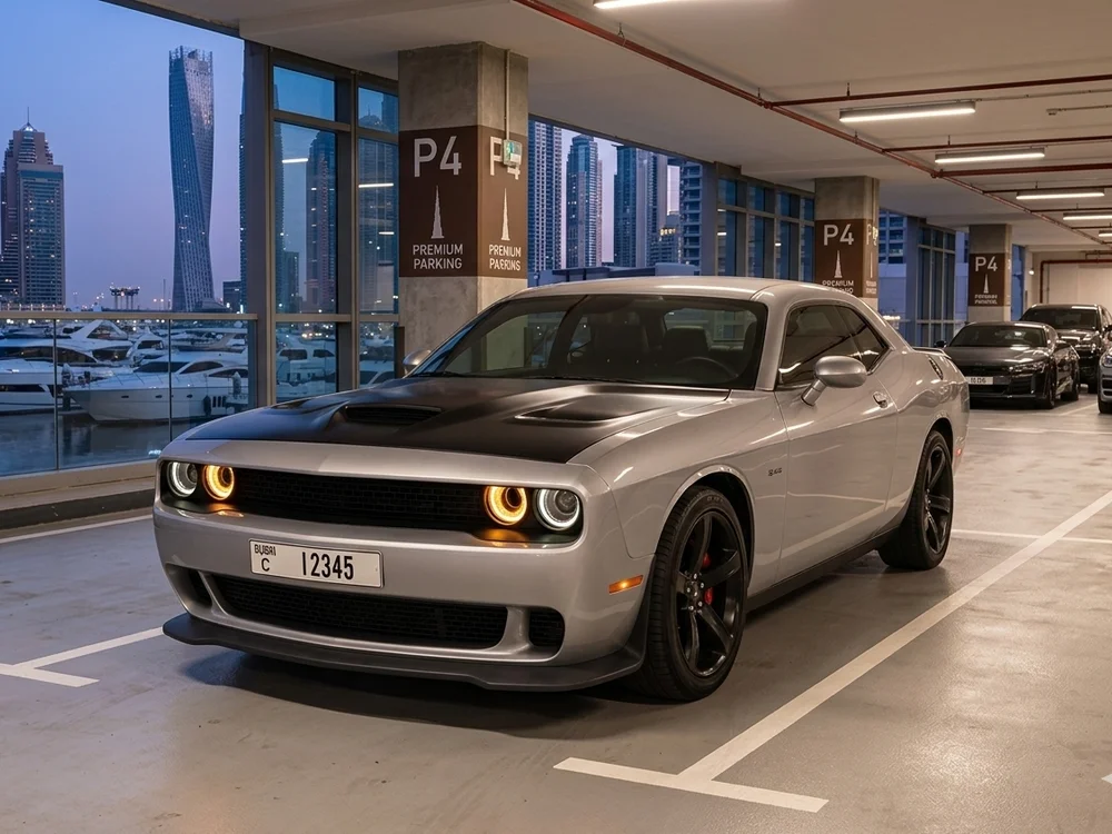 Nicolas_samuel1's most recent online preview