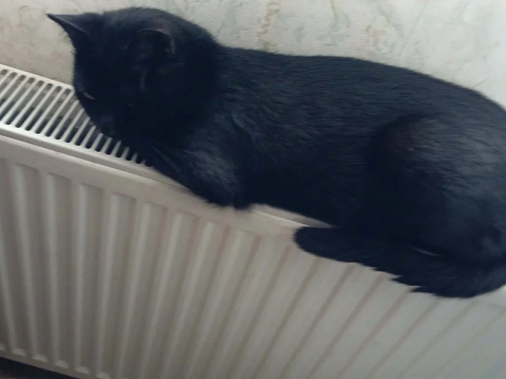 zsexpaar2 Offline XXX-chat