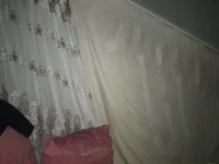 Steja606