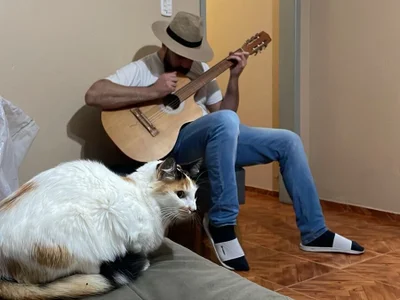 Jocafstudier