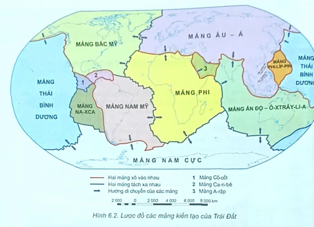 cover photo of kanggia