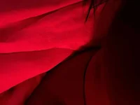 Ravenna_Knight's Offline XXX Chat