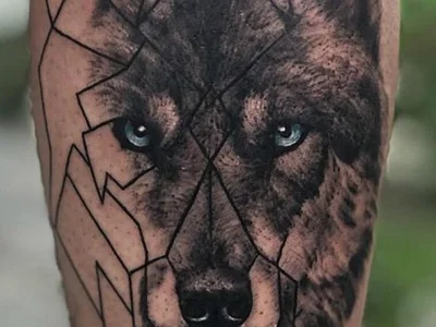 marreta240675 profile