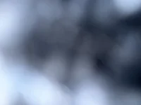 Thomas626482's webcam live show