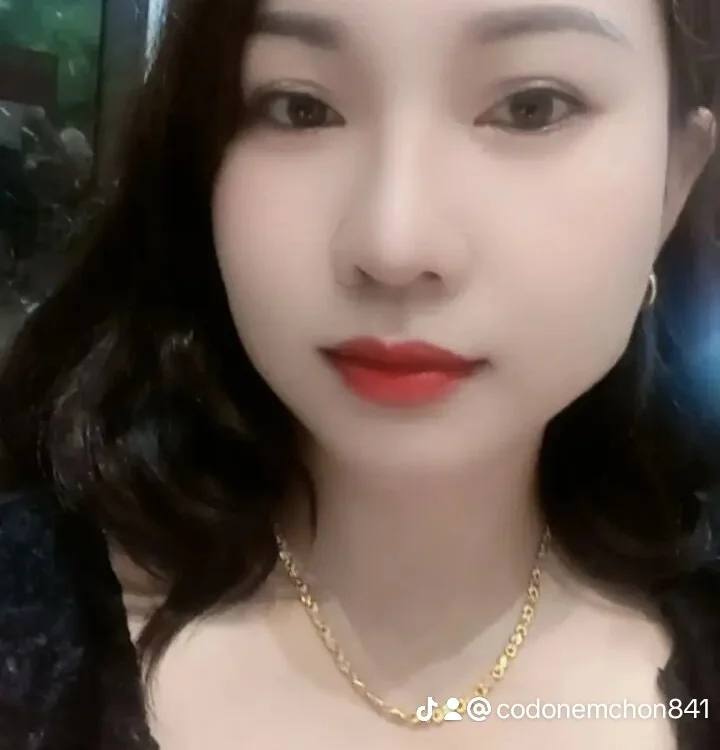 ZingCii 离线XXX聊天