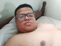 Gordocat