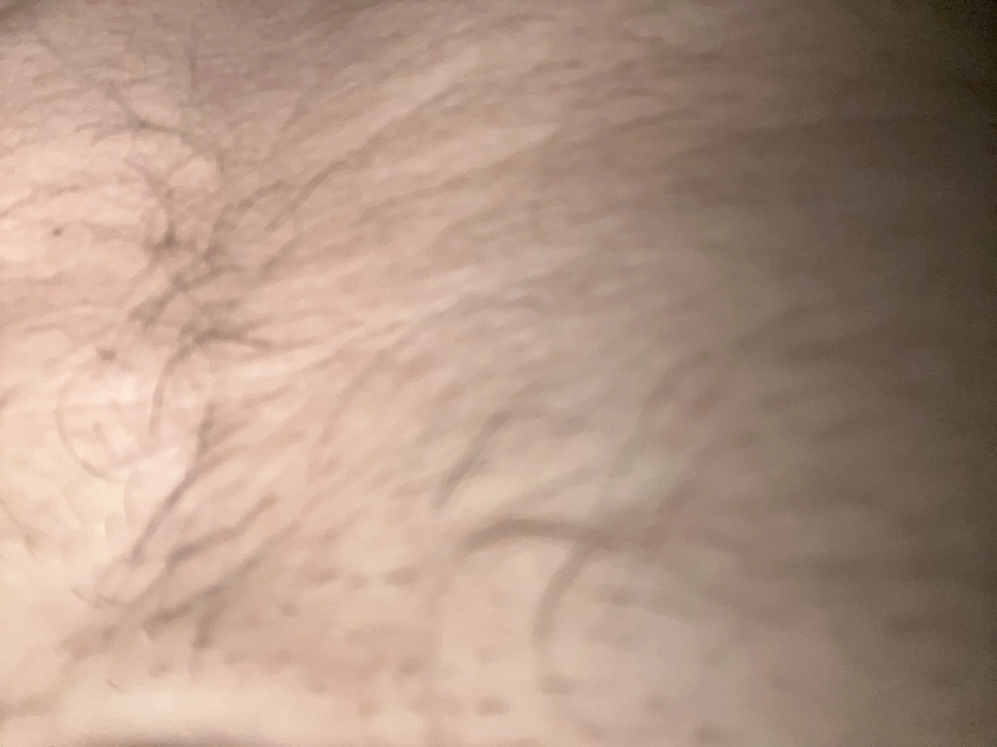 rubiito69