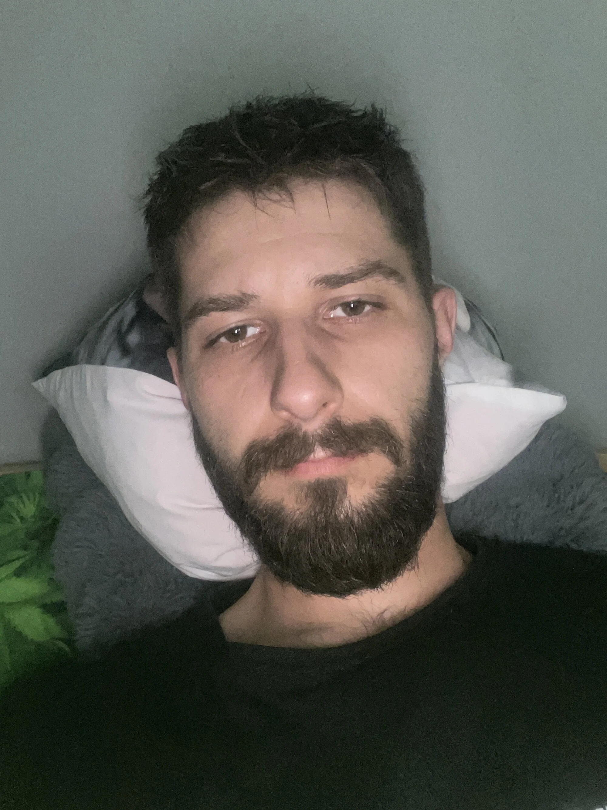 prcek95