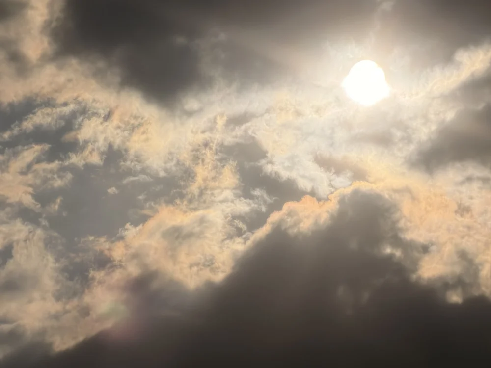 cover photo of marlboro420_