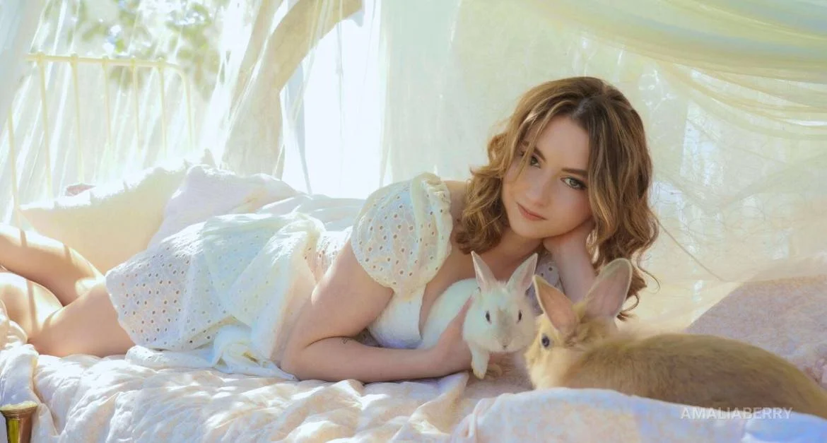 Amalia_Lambert_13 cover photo
