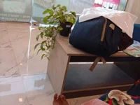 IcenSex's webcam live show