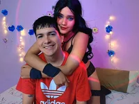 Модель Thetoxicouple