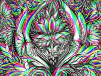 amphevitamine's webcam live show