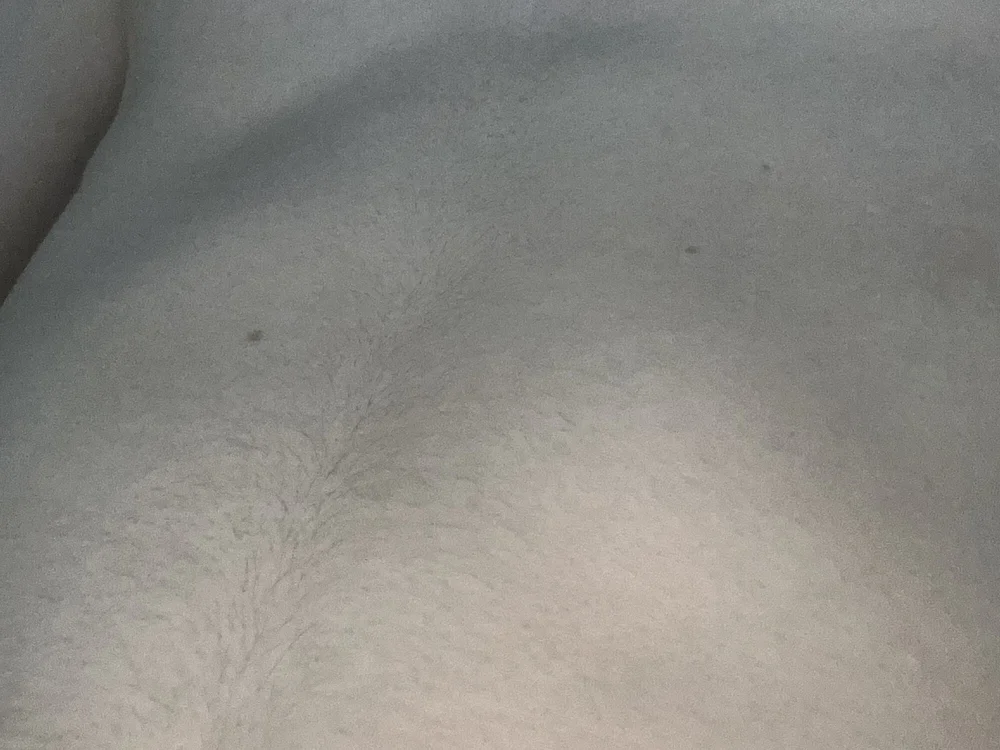 Bapt269 离线XXX聊天
