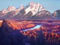 PoneiHetero's webcam live show