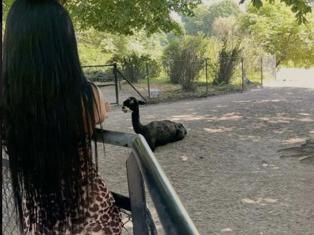 دردشة xColumbianax الجنسية دون اتصال