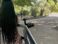 Модель xColumbianax