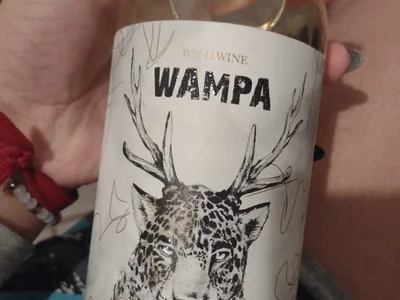 -Axelconda420 profile