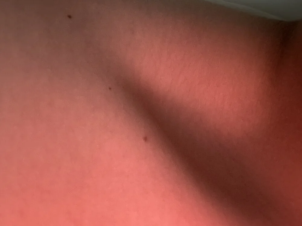 devonboy06 Obrolan XXX Offline