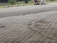 blsurer
