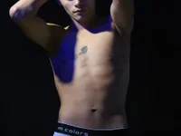 Модель _white_fox_1