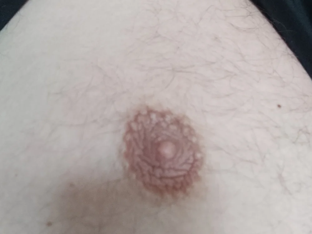 Geili88 離線 XXX 聊天