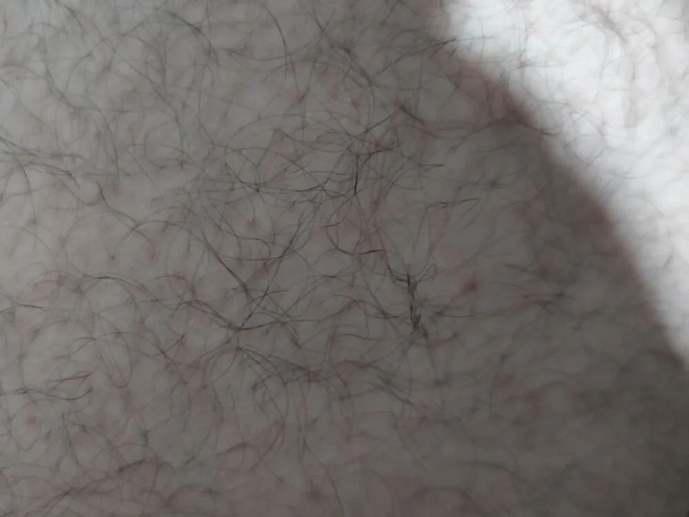 SSNKGH: офлайн-секс-чат