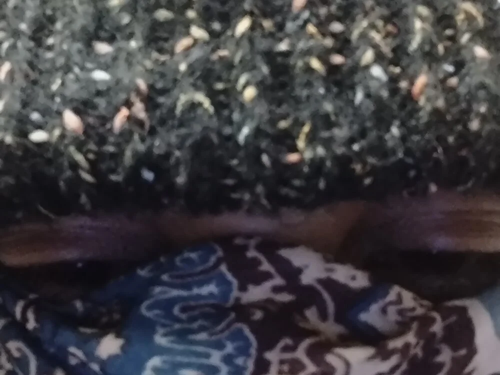 RGTM75: офлайн-секс-чат