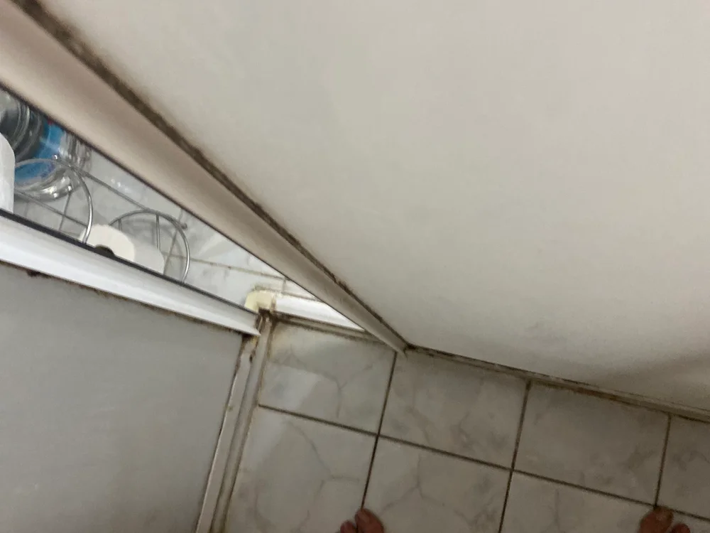 burakking Adlı Modelin Çevrimdışı XXX Sohbeti