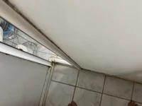 burakking's webcam live show