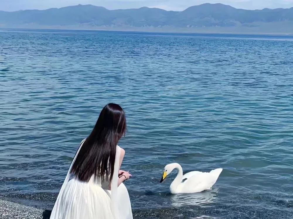 EX-886 Chat XXX Ngoại tuyến