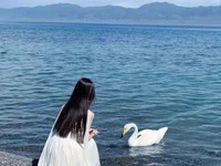 EX-886's webcam live show