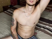 Модель johnstoneisland