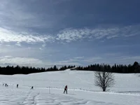 ts_alexxx live cam profile - MySuperHot