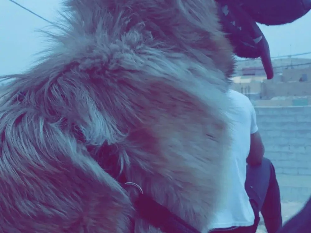 Ntomana2002 Adlı Modelin Çevrimdışı XXX Sohbeti