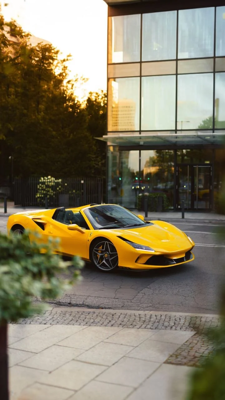 Danu2005dsa live webcam